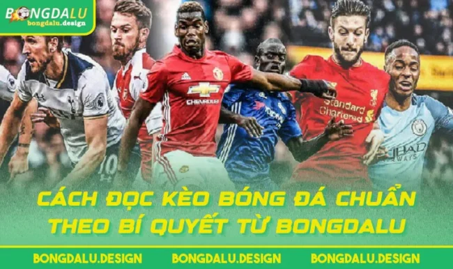 Cách Đọc Kèo Bóng Đá Chuẩn Theo Bí Quyết Từ BONGDALU