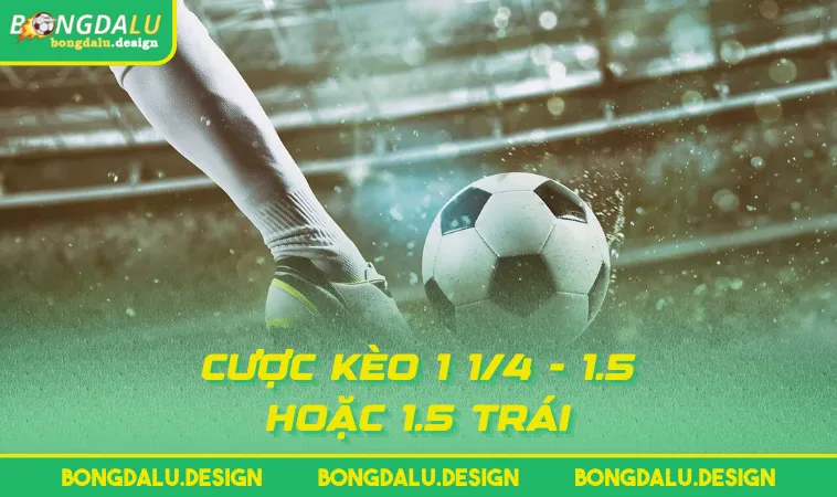 Cược kèo 1 1/4 - 1.5 hoặc 1.5 trái