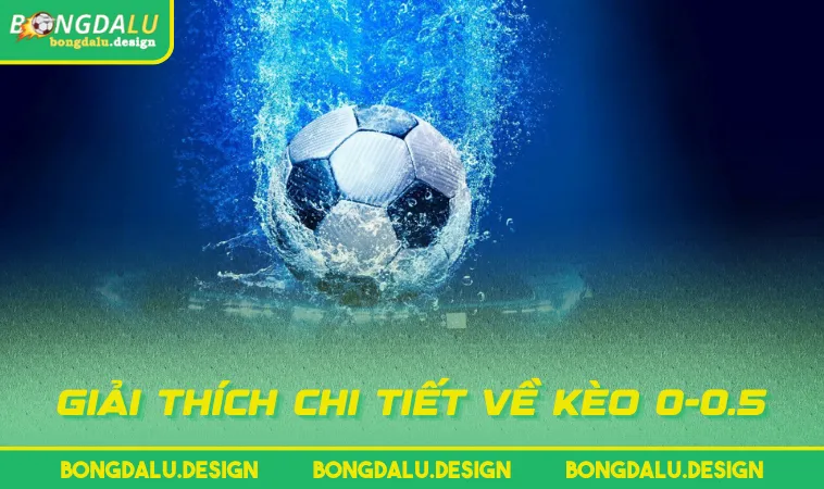 Giải thích chi tiết về kèo 0-0.5