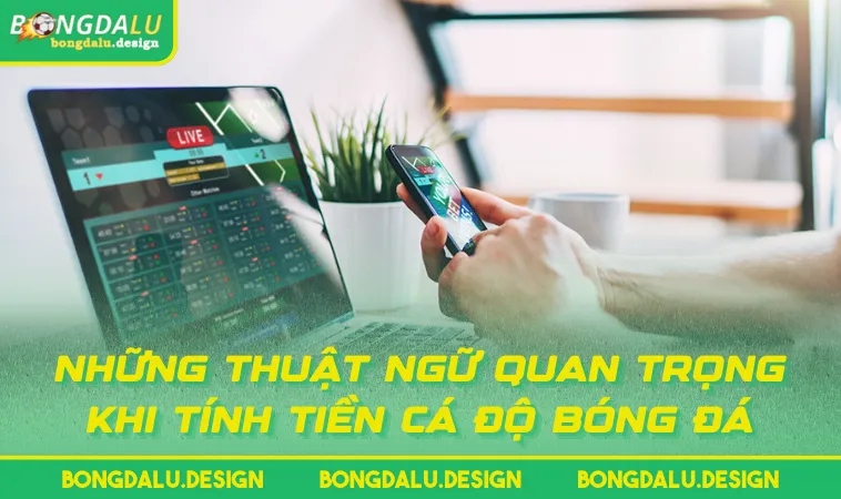 Những thuật ngữ quan trọng khi tính tiền cá độ bóng đá