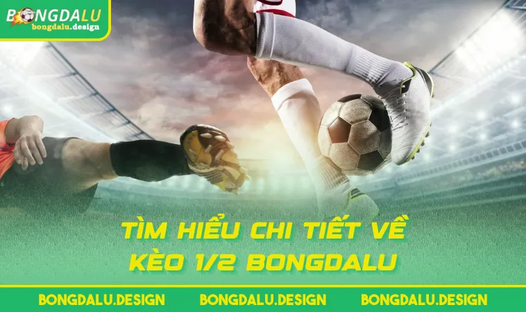 Tìm hiểu chi tiết về kèo 1/2 BONGDALU