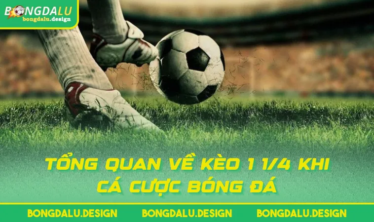 Tổng quan về kèo 1 1/4 khi cá cược bóng đá