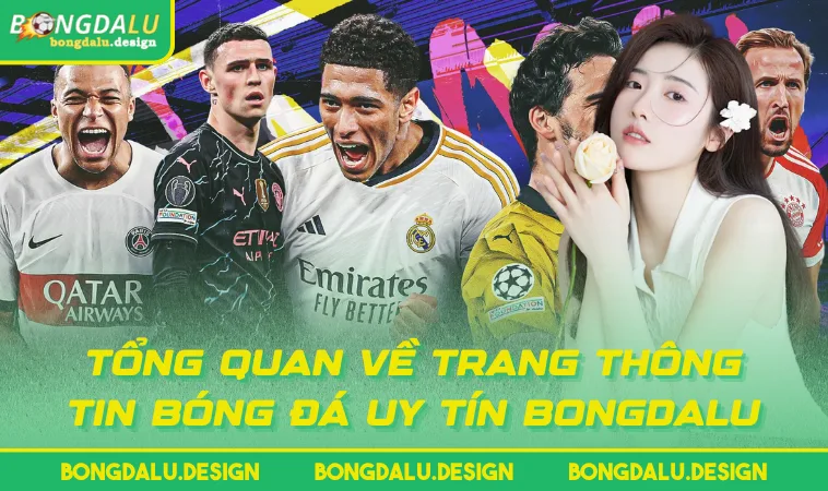 Tổng quan về trang thông tin bóng đá uy tín BONGDALU